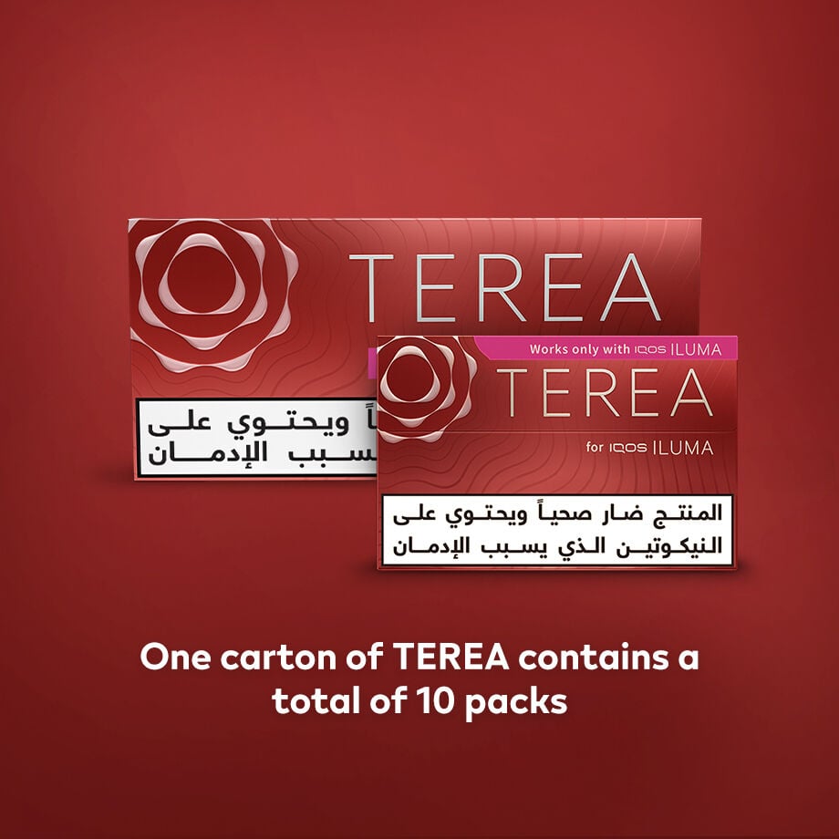 TEREA SIENNA (10 packs), Sienna
