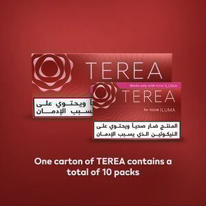 TEREA SIENNA (10 packs), Sienna