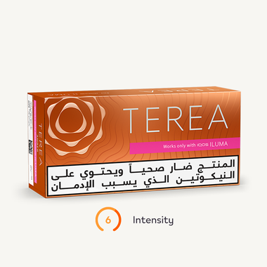 TEREA AMBER (10 packs), Amber