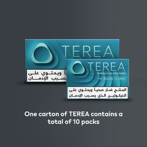 TEREA TURQUOISE Menthol (10 packs), Turquoise Menthol