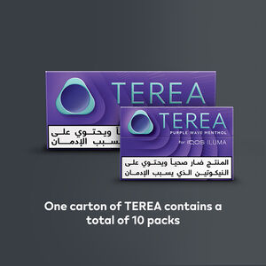 TEREA PURPLE WAVE Menthol (10 packs), Wave Menthol