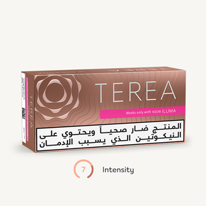 TEREA TEAK (10 packs), Teak