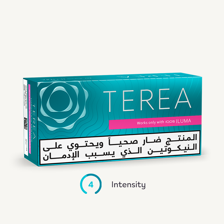 TEREA TURQUOISE Menthol (10 packs), Turquoise Menthol