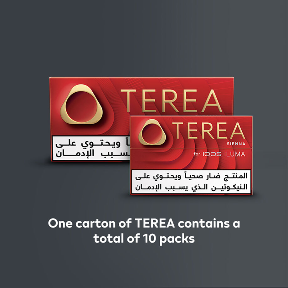 TEREA SIENNA (10 packs), Sienna