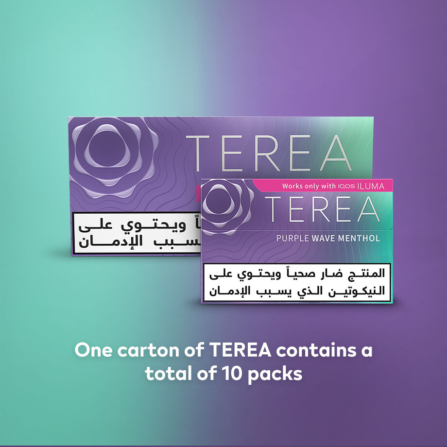 TEREA PURPLE WAVE Menthol (10 packs), Wave Menthol