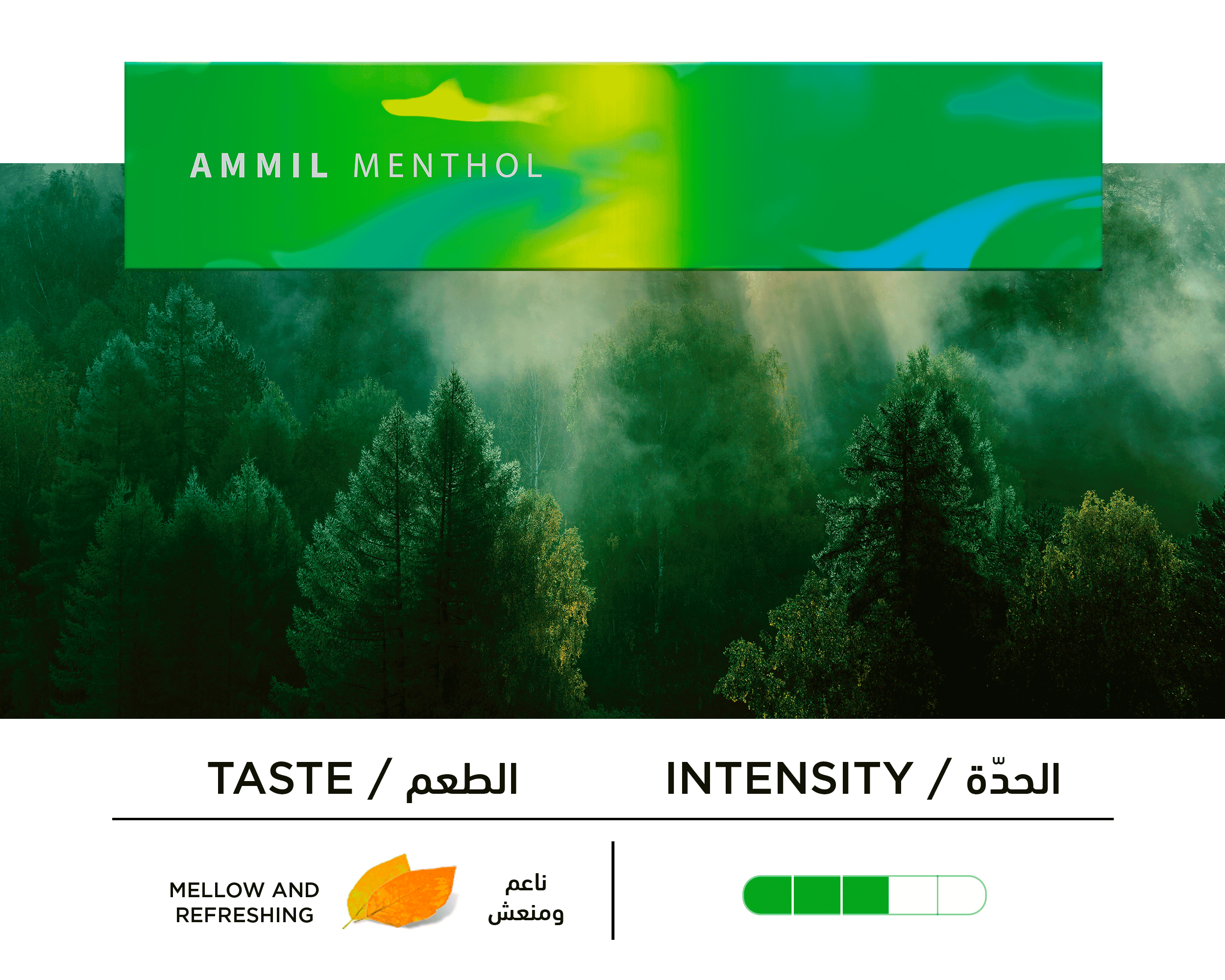 Ammil_Background